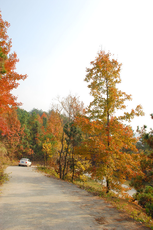 dsc_0185_.jpg