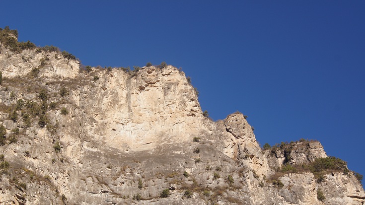 358.jpg