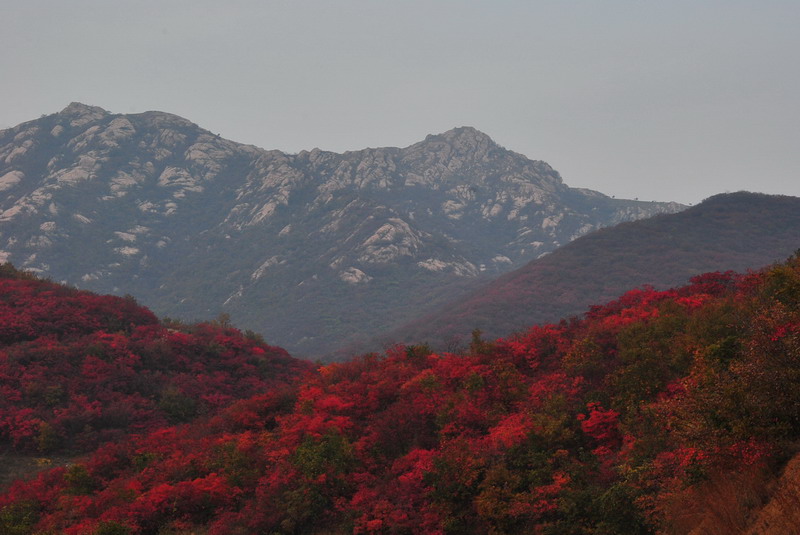 2011ƸںҶ_091_С.jpg