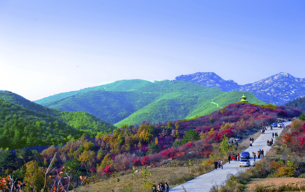 _dsc8773a.jpg