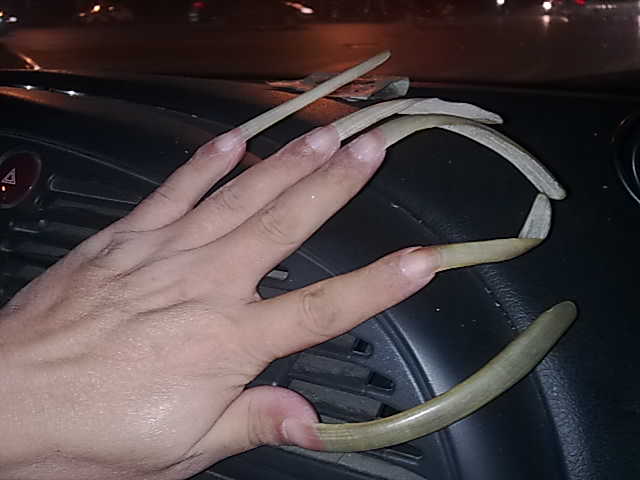 20111122087.jpg