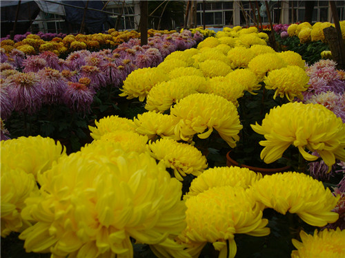 dsc04373_.jpg