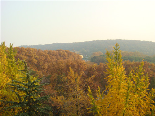 dsc04297_.jpg
