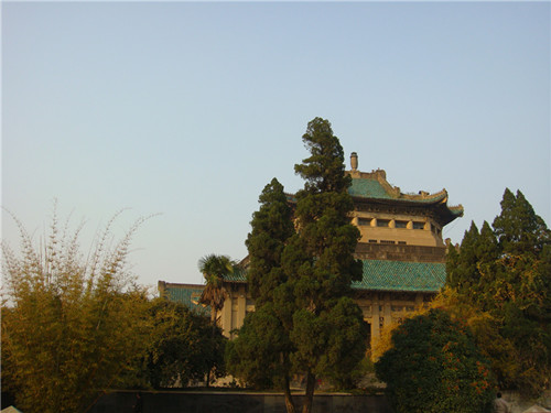 dsc04308_.jpg