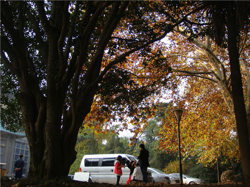 dsc04349_.jpg