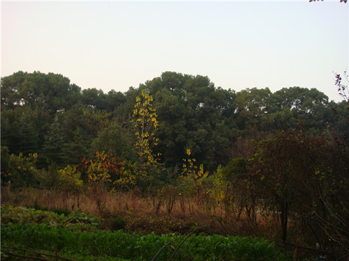 dsc04443_.jpg