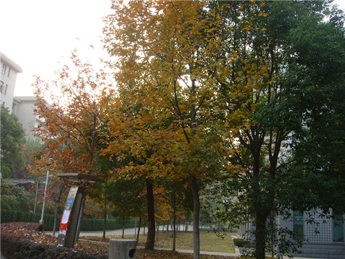 dsc04418_.jpg