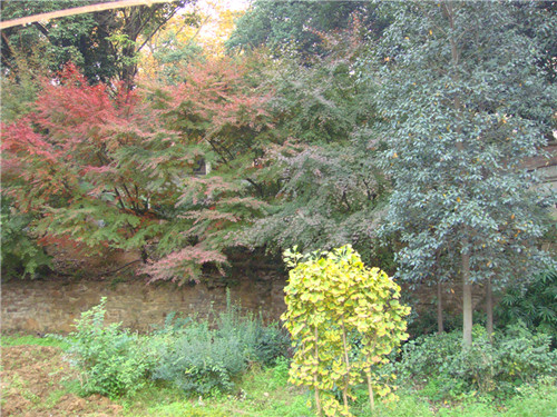 dsc04380_.jpg