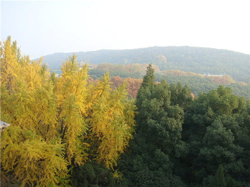 dsc04317_.jpg