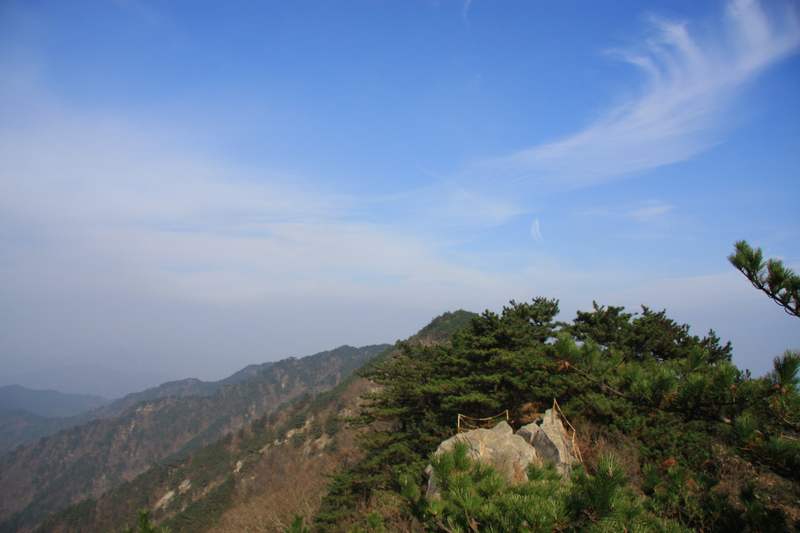 Ƭ 058.jpg