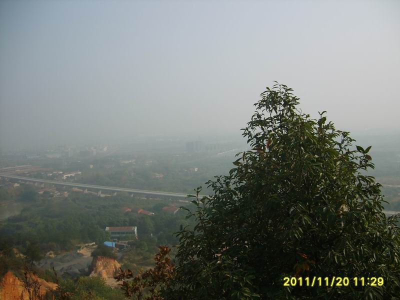 s5006610.jpg2.jpg
