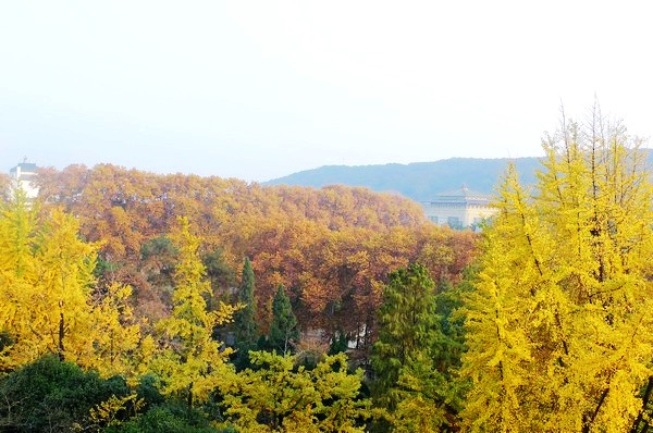 201111202156626806.jpg