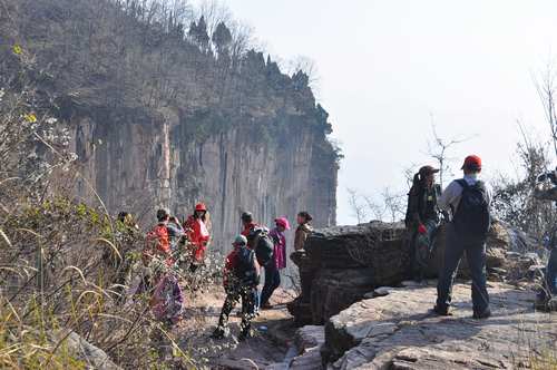 neo_img_dsc_1520.jpg