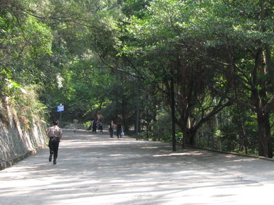 img_1735_С.jpg