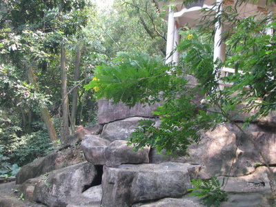 img_1740_С.jpg