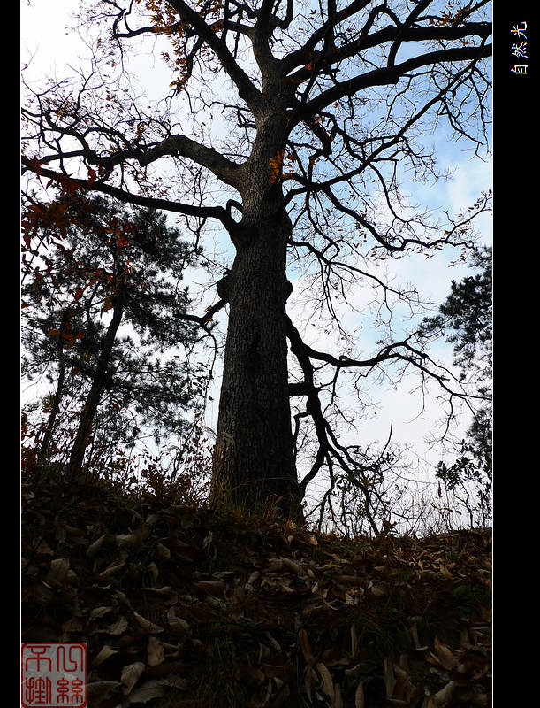 l1250781.jpg