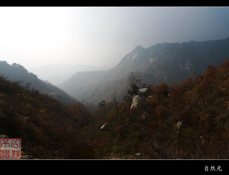 l1250807.jpg