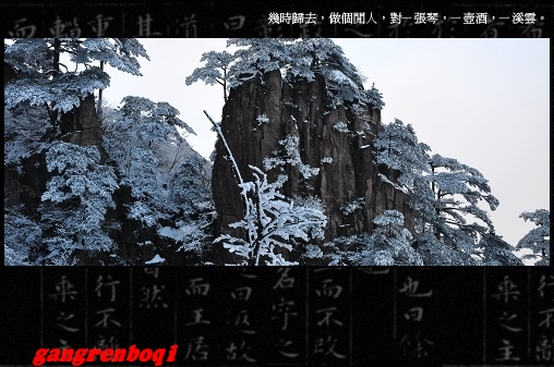 2009122023535.jpg