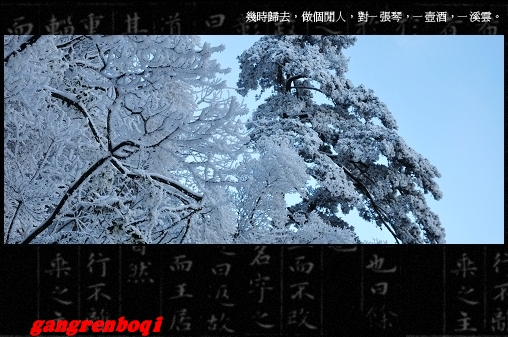 2009122023612.jpg
