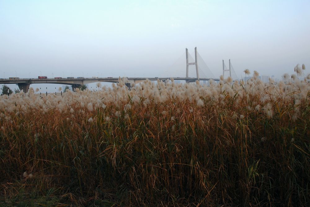 dsc_0020.jpg
