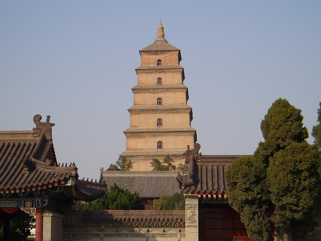  p1011862.jpg
