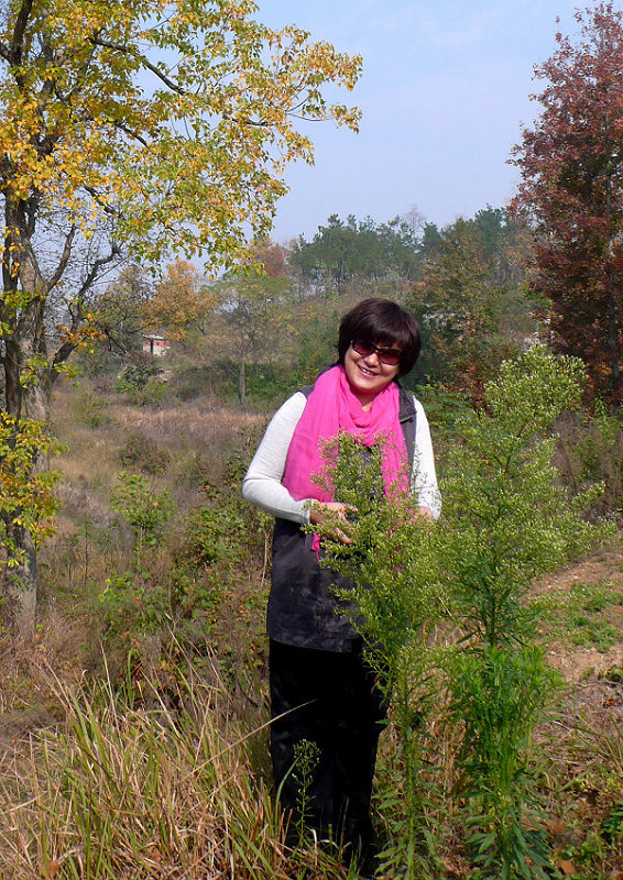 p1130935.jpg