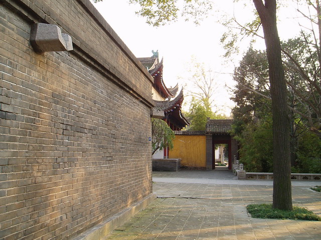 p1011880.jpg