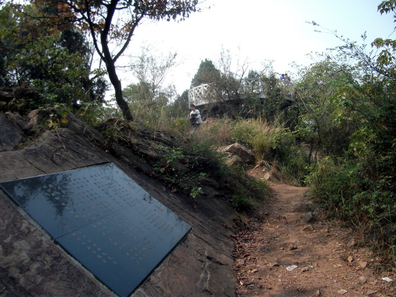 dscf0249.jpg