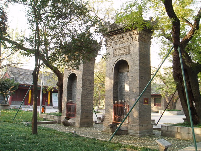 p1011869.jpg