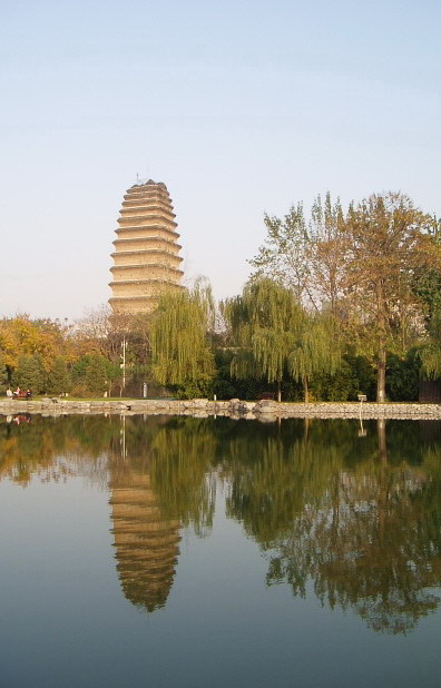 p1011873.jpg