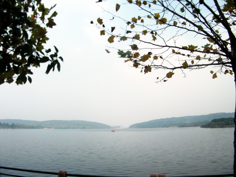 dscf0254.jpg