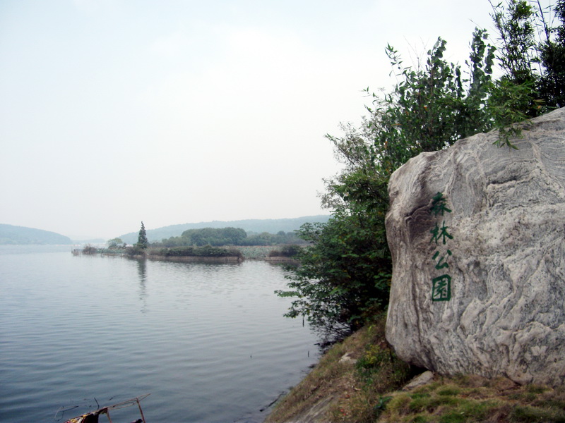 dscf0255.jpg