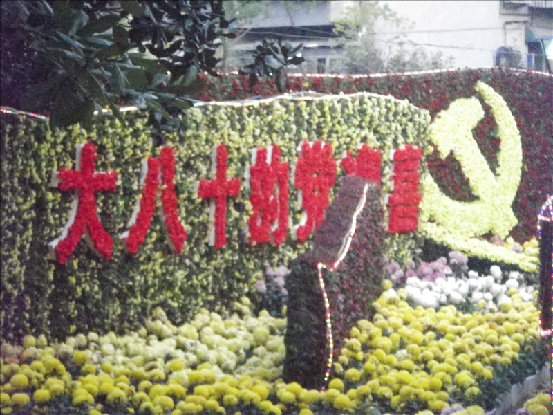 imgp3668.jpg