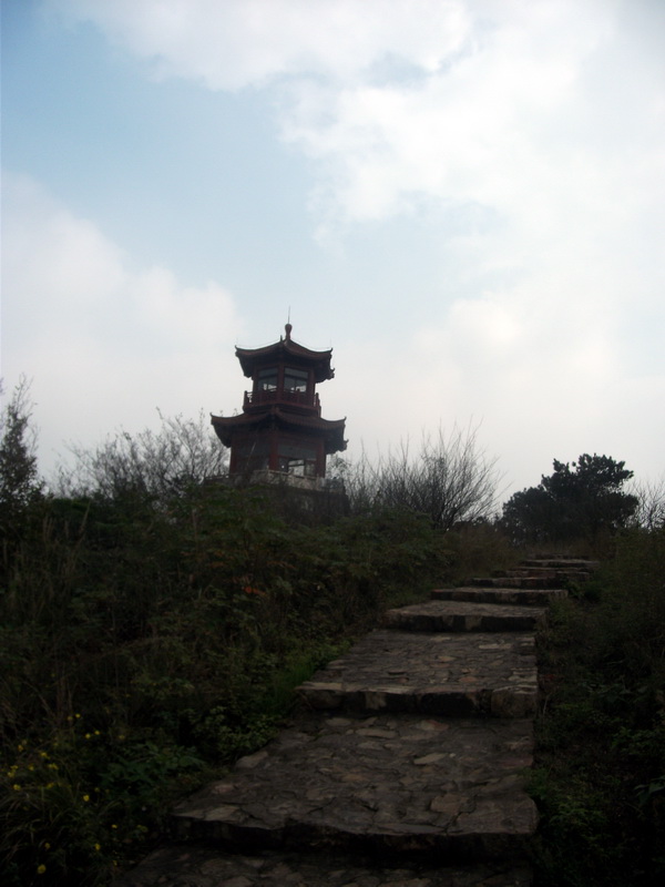 dscf0257.jpg