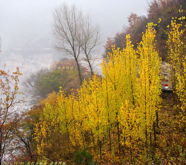 2011ʯҴϿ 1101-2.jpg