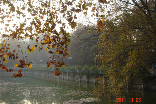 dsc00275_.jpg