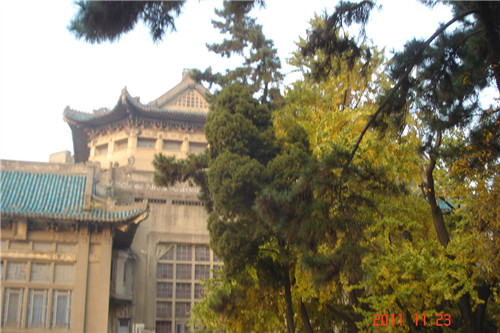 dsc00261_.jpg