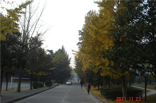 dsc00279_.jpg