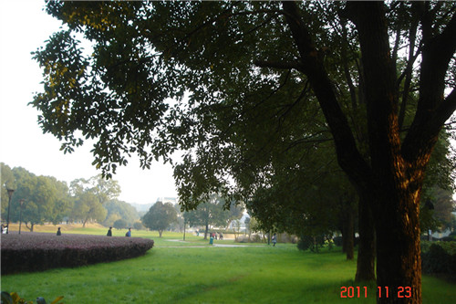 dsc00291_.jpg