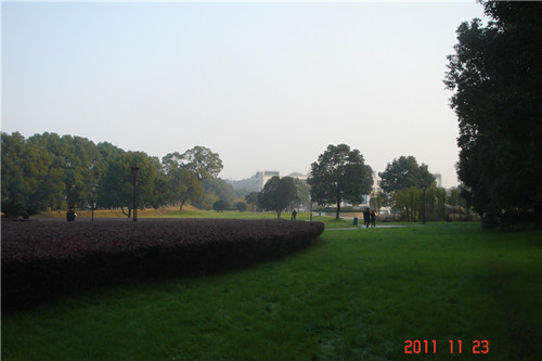 dsc00290_.jpg