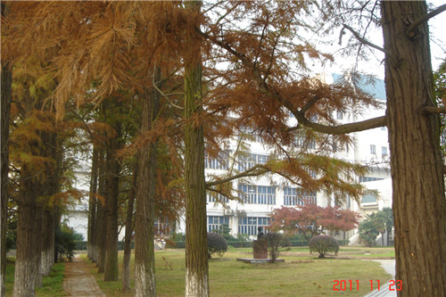 dsc00282_.jpg