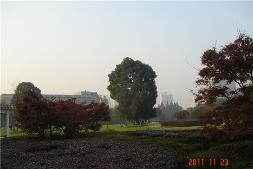 dsc00287_.jpg