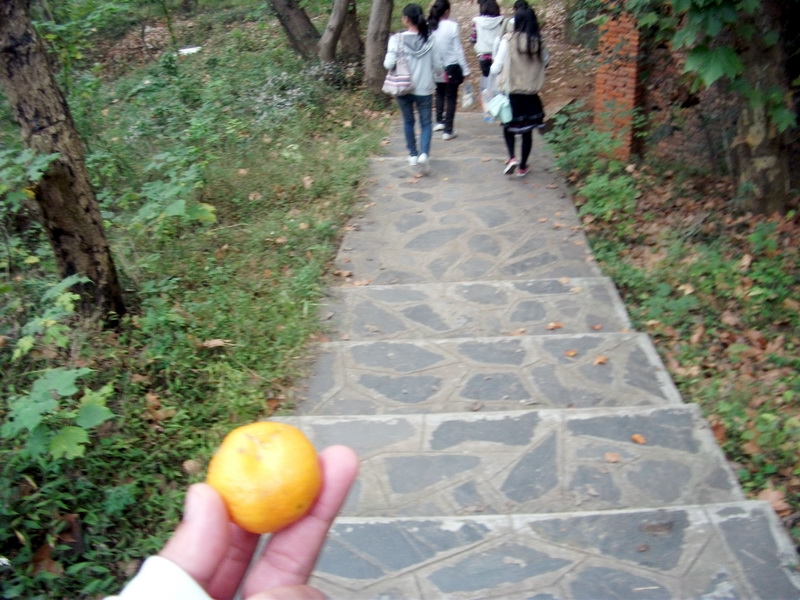 dscf0261.jpg