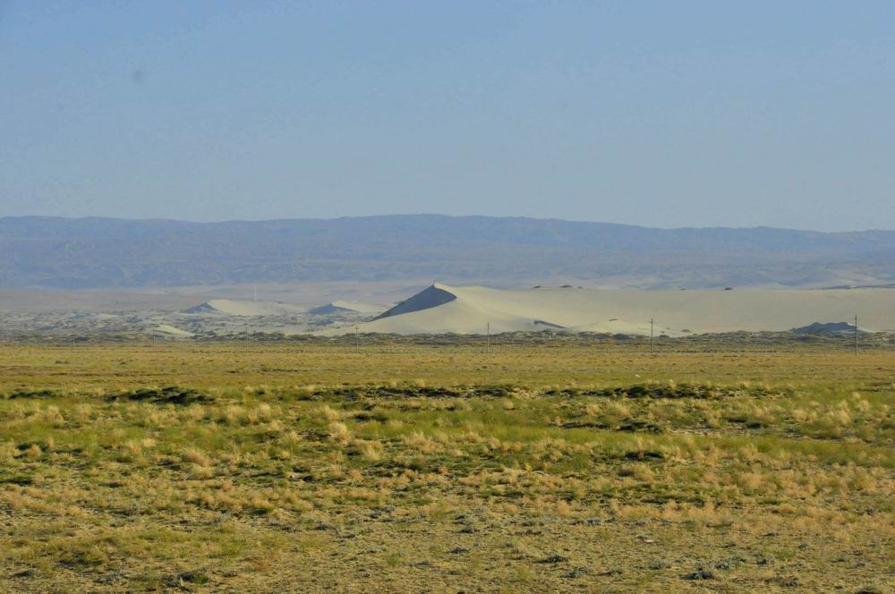 _dsc1067_conew1.jpg