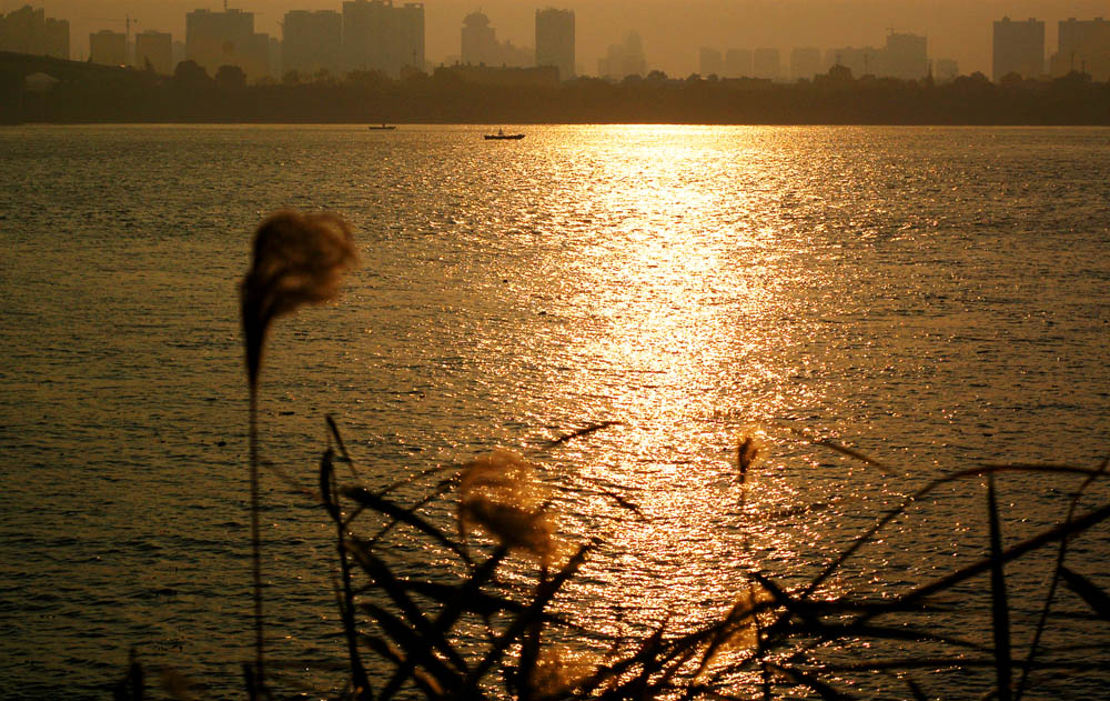 2011꽭̲«έճ (1).jpg
