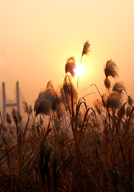 2011꽭̲«έճ (3).jpg