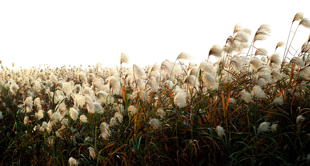 2011꽭̲«έճ (4).jpg