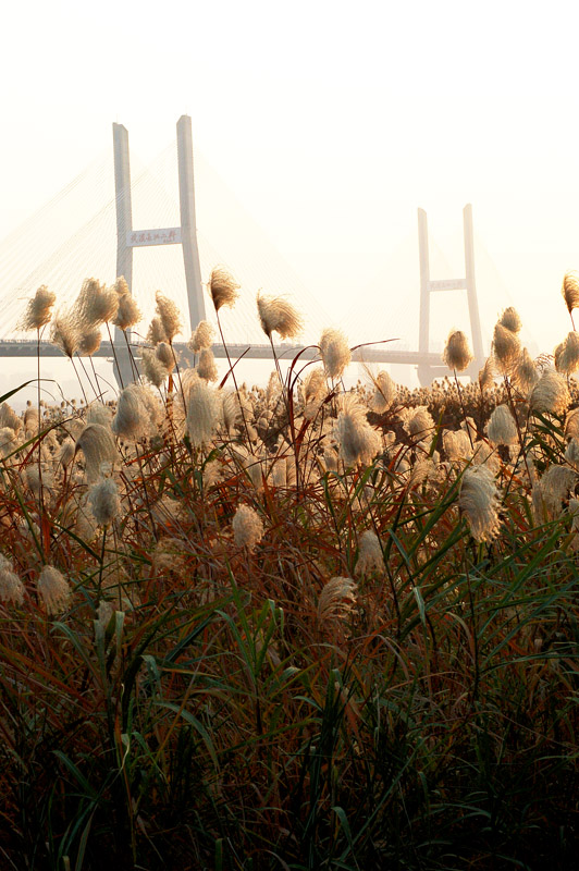2011꽭̲«έճ (5).jpg