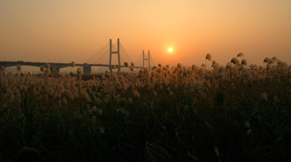 2011꽭̲«έճ (7).jpg