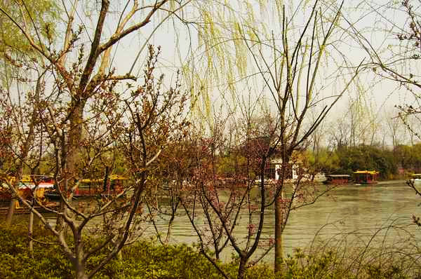p1050087.jpg